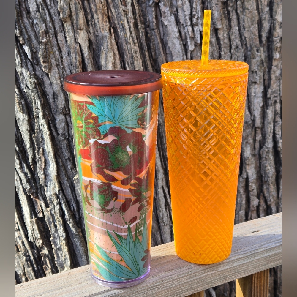 Set Of 2 Starbucks Tumblers 24oz Desert‎ Terra Cotta Cactus Mango Cold Cup